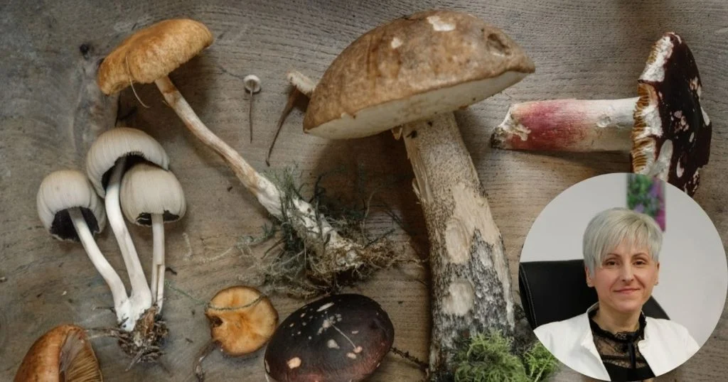 Liječnica otkrila nevjerojatnu moć gljiva u borbi protiv koronavirusa!