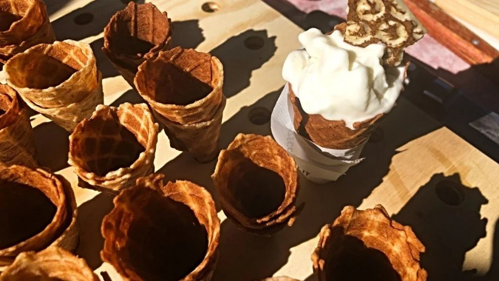 Najveseliji šumski festival, Medun Fest, oduševit će vas u svojem drugom izdanju