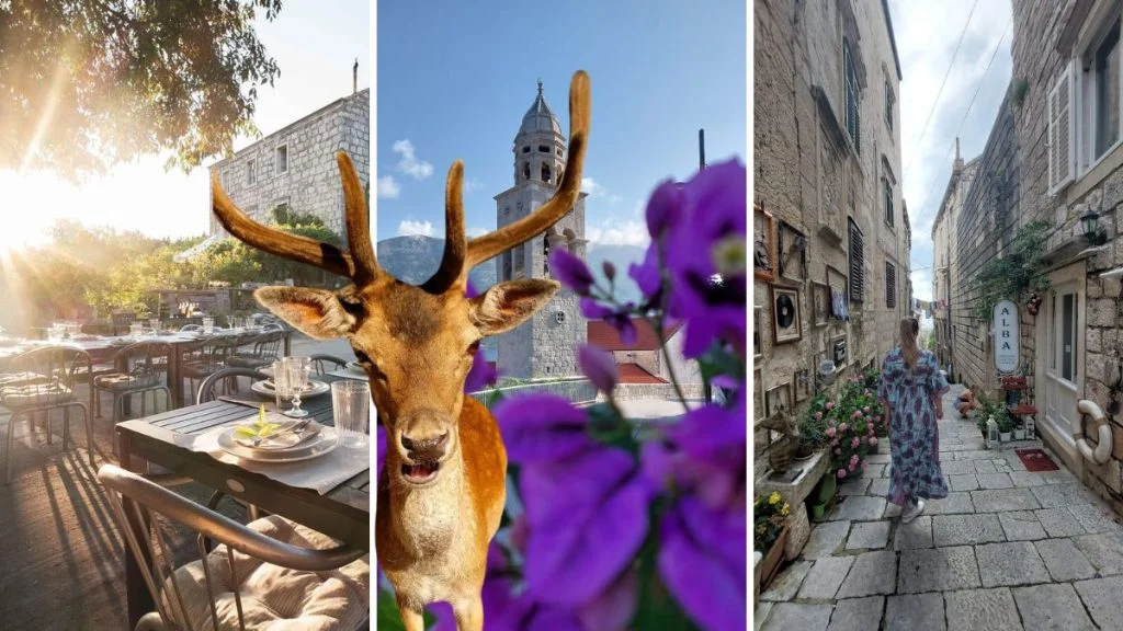 Iskustva koja se ne zaboravljaju – vikend na Korčuli uz jelene, magarace i žrnovske makarune