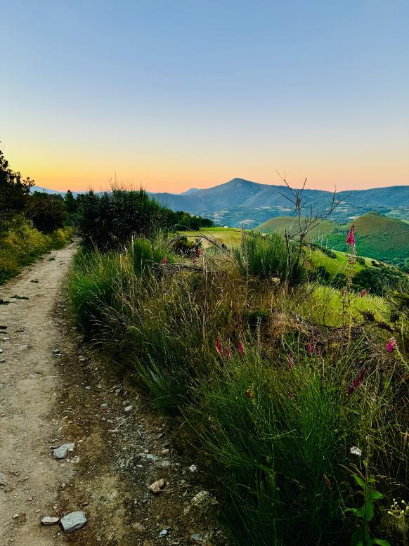 Camino de Santiago