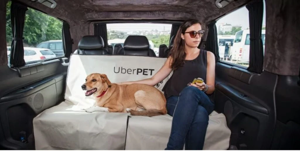 Dobra vijest za sve vlasnike kućnih ljubimaca: Pokrenut je hrvatski Uber PET