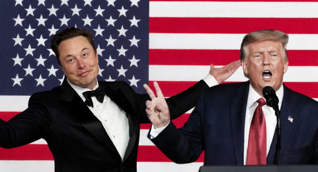 musk i trump