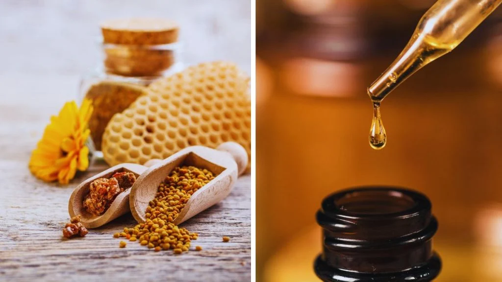Propolis je čudesni prirodni lijek za infekcije, bolno grlo, zacjeljivanje rana…