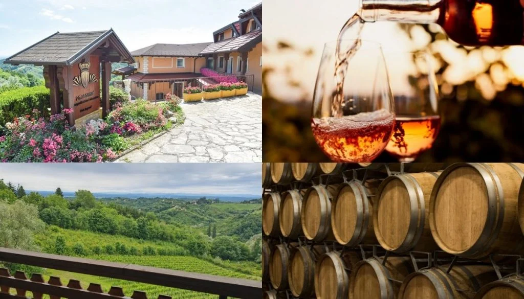 Ne propustite najuzbudljiviji događaj sezone: WiA Summer Mingles