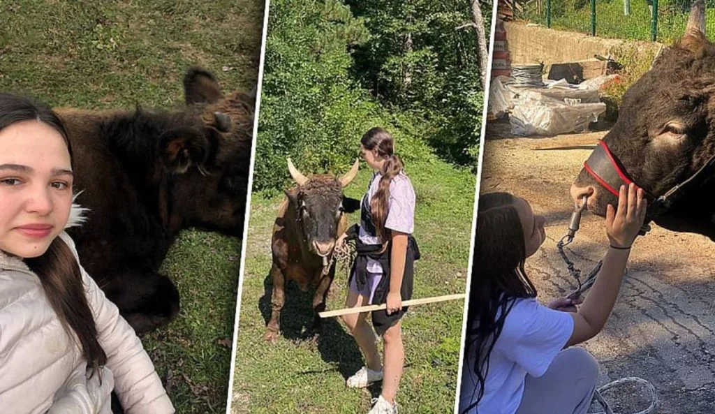 Amina Bjelić, 14-godišnja trenerica bikova koja ruši predrasude: Ljubav prema ovom poslu nema spol